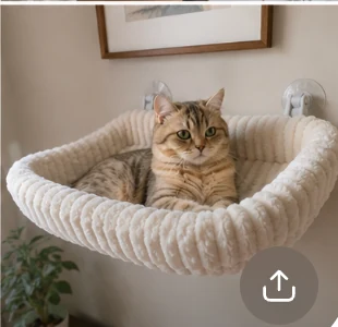 Cat relaxing inside the linshen CloudNest